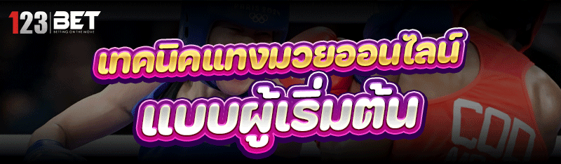 เทคนิคแทงมวยออนไลน์ แบบผู้เริ่