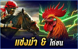 แข่งม้า & ไก่ชน